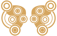 Eye Exams